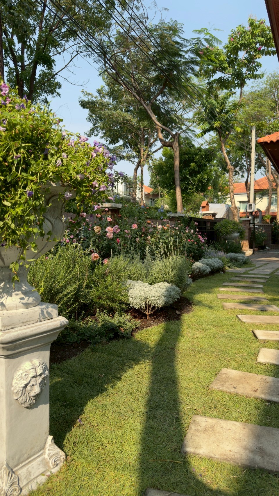 nontaburi_2 project detail 30